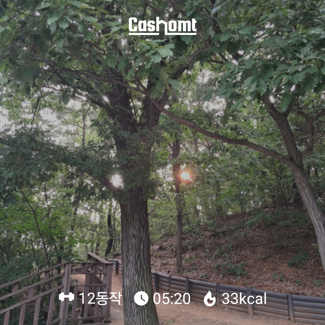 캐시홈트를 산에서